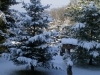 Winter in Grammentin