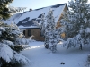 Waldhaus im Schnee